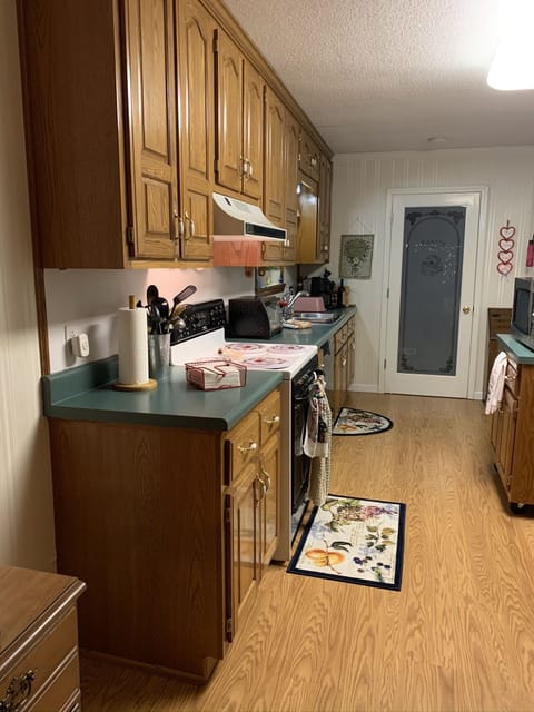 Kitchen area - cabinets 