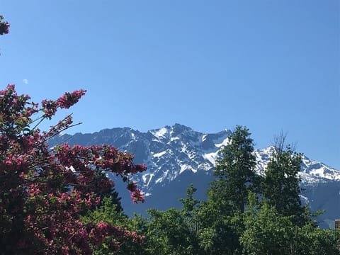 stunning mountain views