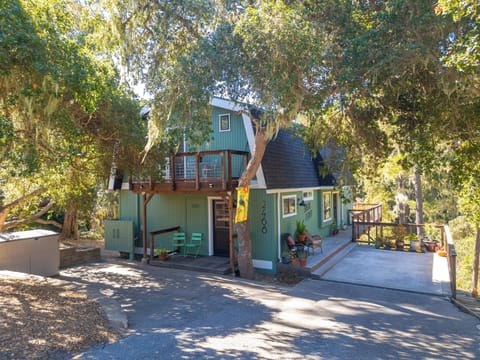 View as you drive up to the house