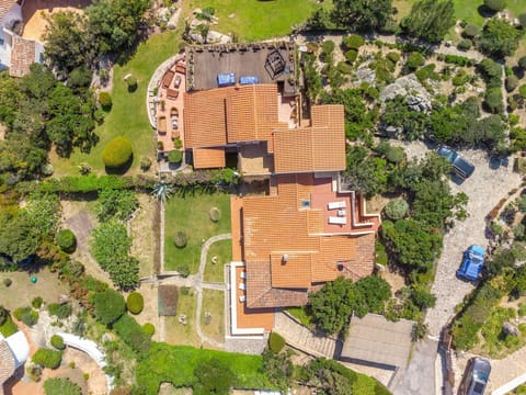 Plant, Building, Green, Tree, Land Lot, Urban Design, House, Neighbourhood, Grass, Residential Area