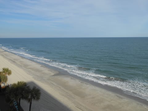 Condo, 1 Bedroom | Beach | On the beach