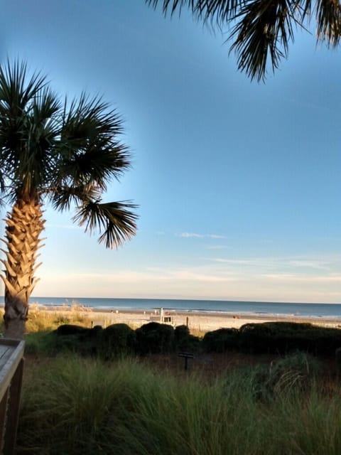 View of the nearby beach