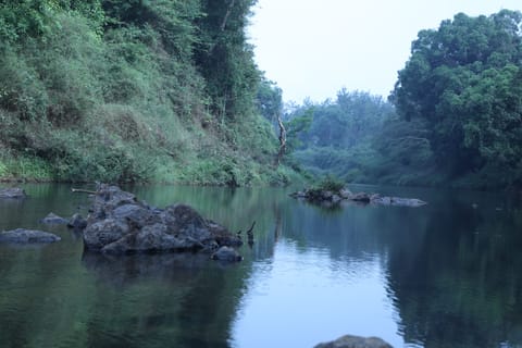 Lake