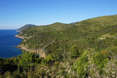 Casa dei Gabbiani, immersed in the Mediterranean scrub House in Tuscany