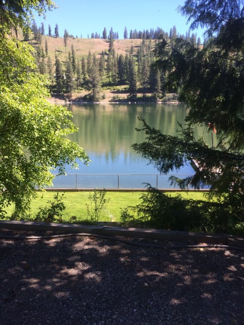 View across the river.