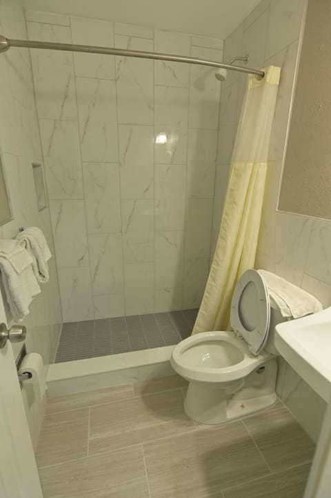 Combined shower/tub, free toiletries, hair dryer, towels