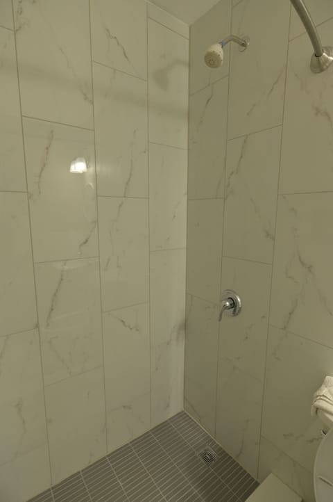 Combined shower/tub, free toiletries, hair dryer, towels