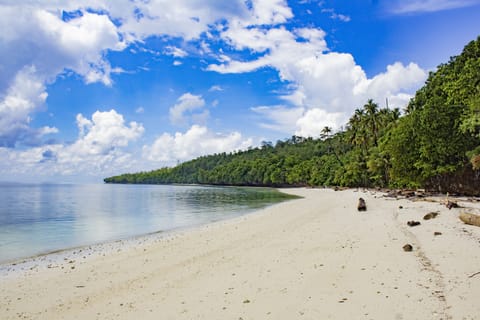 Private beach, white sand
