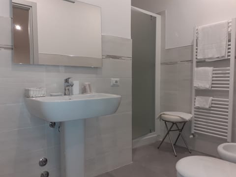 Shower, free toiletries, hair dryer, bidet