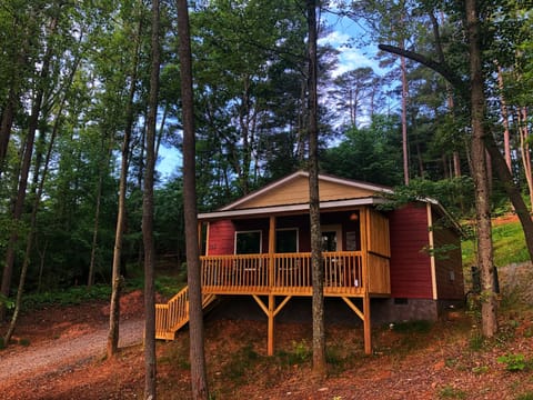 Bungalow nestled in the trees