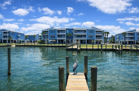 Great blue heron resting on the pier over calm waterfront views