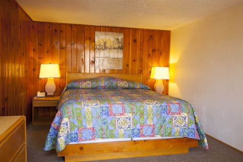 Standard Room, 1 King Bed, Dogs Permitted | Individually furnished, desk, iron/ironing board, free WiFi