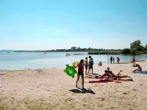 Sky, Property, Plant, Tree, Building, Land Lot, Slope, Shade, Asphalt, Wood