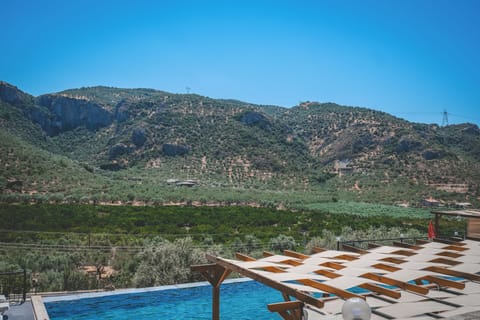 Seasonal outdoor pool, pool umbrellas, sun loungers