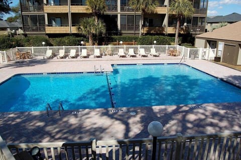 Sparkling outdoor pool surrounded by tropical palms and sunny deck loungers creates your perfect poolside retreat.