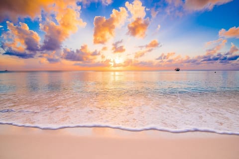 House, 3 Bedrooms | Beach