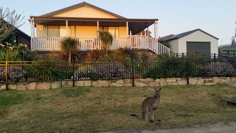 Regular visitor 