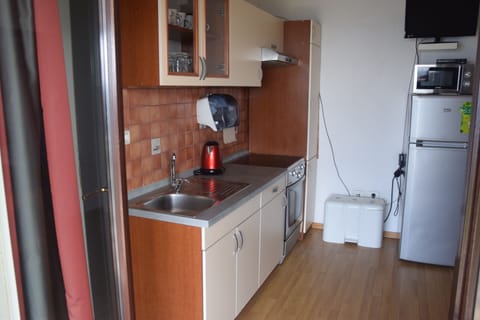 Basic Apartment, 2 Bedrooms, Sea View | Private kitchenette | Shared fridge, microwave, highchair