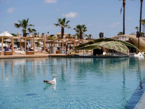 Suite, Balcony, Pool View | View from room