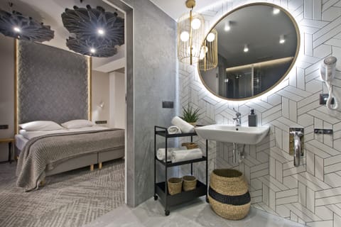 Premium Double Room (adapted for people with disabilities) | Bathroom | Shower, hair dryer, towels