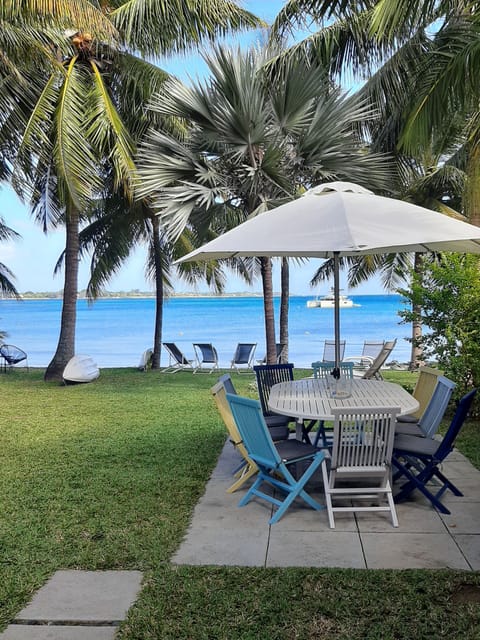 View on garden from verandah