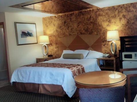 Room, 1 King Bed, Non Smoking | 1 bedroom, desk, free WiFi, bed sheets