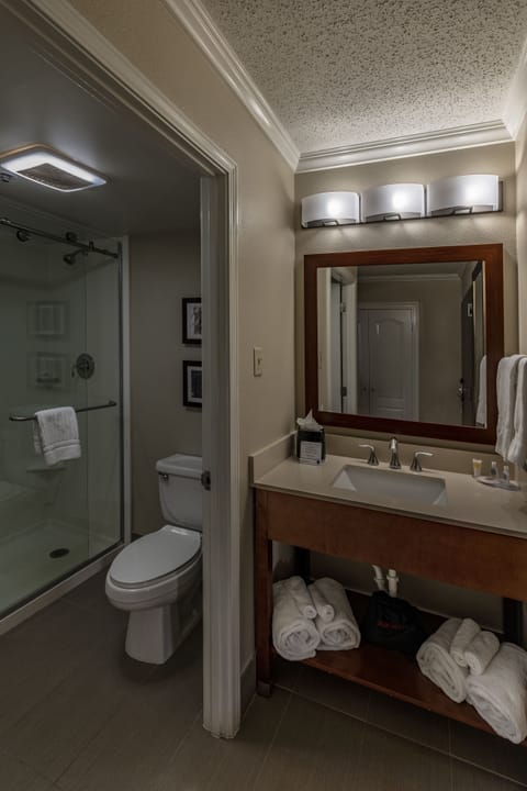 Combined shower/tub, free toiletries, hair dryer, towels