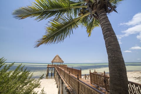 Beach/ocean view