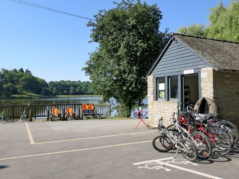 Transport, Property, Bicycle, Town, Tree, Vehicle, House, Lane, Building, Architecture