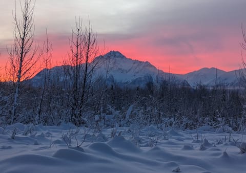 A Winter Sunrise From the Front of the Property.