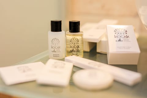 Hair dryer, bathrobes, slippers, bidet