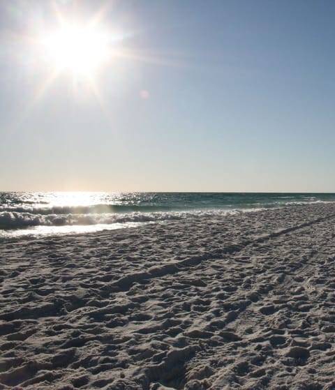 The Beautiful Gulf & White Sandy Beach at Amalfi