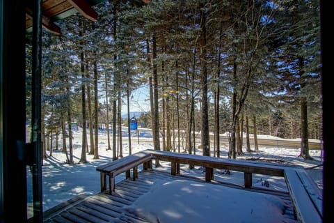 This porch is located outside the living room and faces Snowshoe Drive.