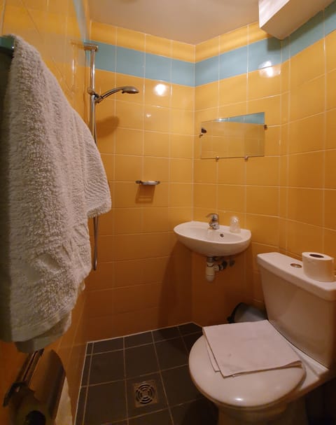 Shower, free toiletries, towels