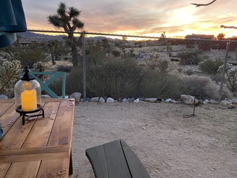 Back yard view