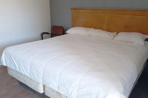 Room, 1 King Bed, Non Smoking | Desk, free WiFi, bed sheets