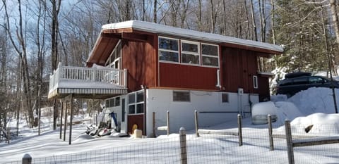 House Rear-view and Yard Winter