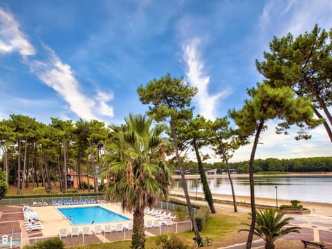 Cloud, Water, Sky, Plant, Azure, Swimming Pool, Tree, Shade, Arecales, Natural Landscape