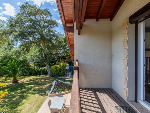 Plant, Property, Building, Wood, Tree, Shade, Sky, Interior Design, Cloud, Cottage