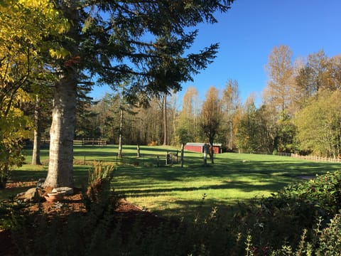 The beautiful Forest Grove view from the house!