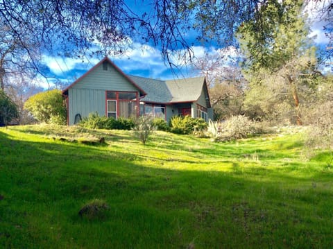  Looking up at the house from across the glen 