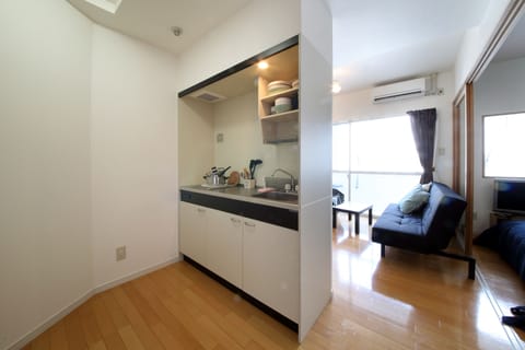 1 Bedroom Apartment | Private kitchenette | Fridge, microwave, stovetop, electric kettle