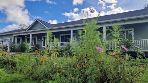 Wildflowers, blue sky and just being at peace... country living at its finest!