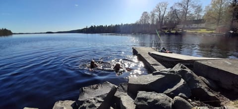 Lake