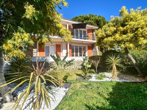 Plant, Building, Daytime, Property, Window, Sky, Tree, Azure, House, Vegetation