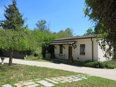 Plant, Property, Building, Natural Landscape, Tree, Land Lot, House, Cottage, Landscape, Residential Area