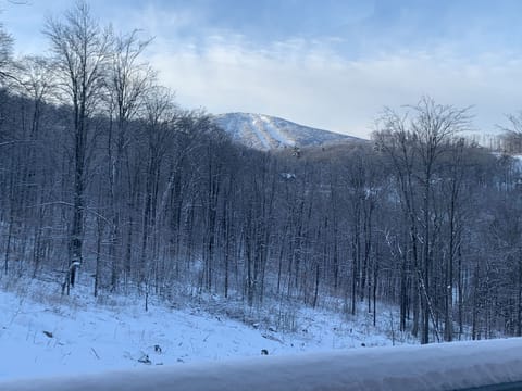 View of Stratton from living room.