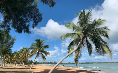 Best Beaches and No Cleaning Fee!
