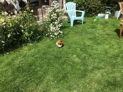 Cabin | Property grounds