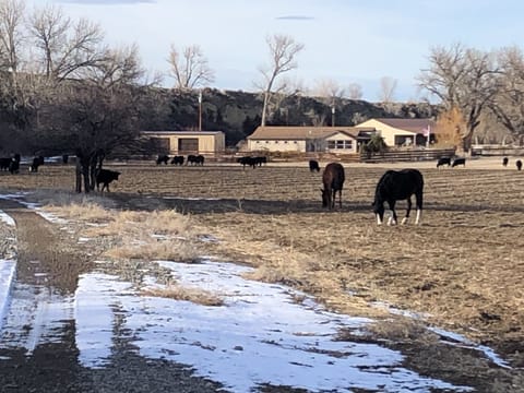 Looking down the driveway 